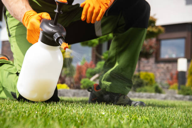 Professional Pest Control in Channelview, TX